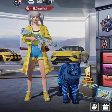 BUZ 7 HESAP TEMİZ ACİL İHTİYAÇTAN DOLAYİ SATILKTİR